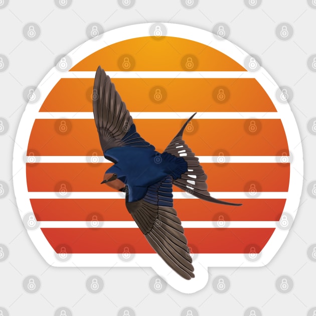 jz.birds Barn Swallow Bird Animal Art Sticker by jzbirds
